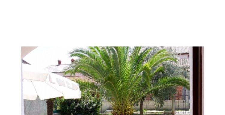 Leone Apartments With Free Parking Pola Esterno foto